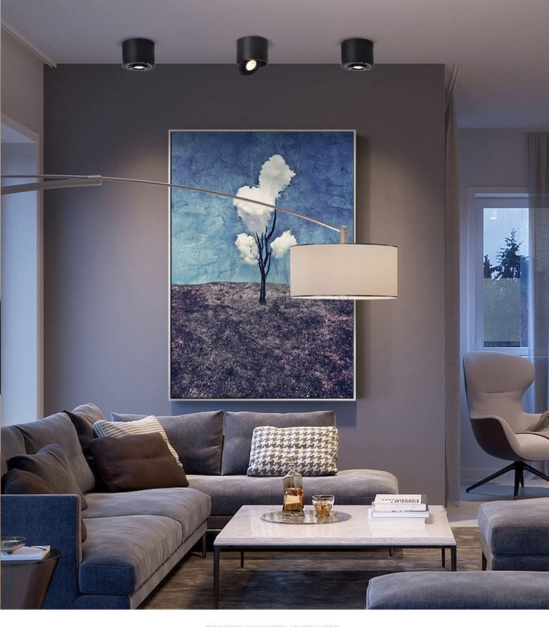 DBF 360 Degrees Rotatable Dimmable Surface Downlight 5W 7W 9W 15W Ceiling Spot Lights for Home Living room Background Wall