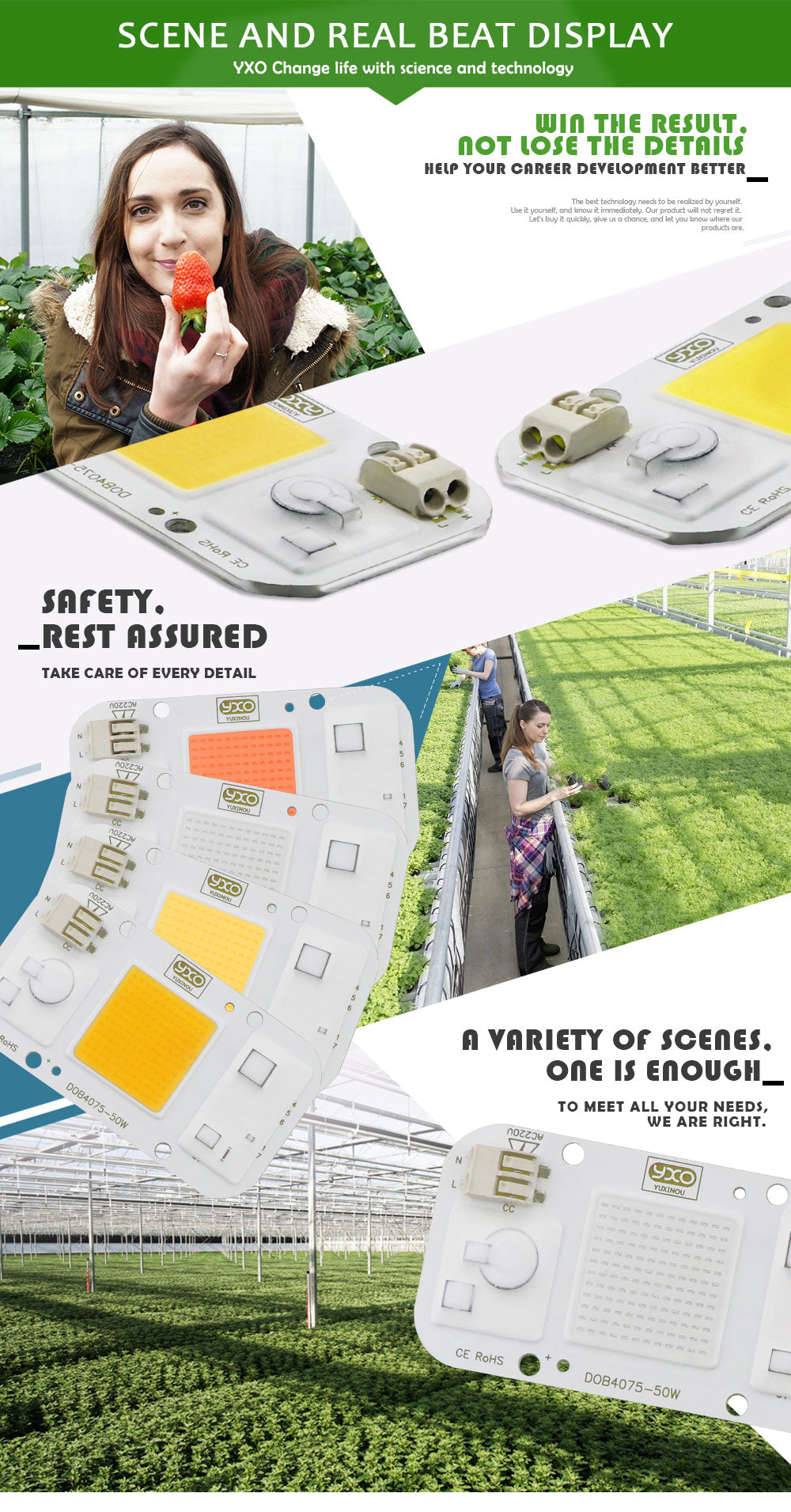 1pc Hydro ponic AC 220V 20w 30w 50w cob led grow light chip full spectrum 370nm-780nm for Indoor Plant Seedling Grow and Flower