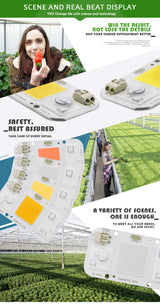 1pc Hydro ponic AC 220V 20w 30w 50w cob led grow light chip full spectrum 370nm-780nm for Indoor Plant Seedling Grow and Flower