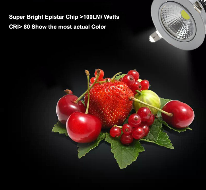 Dimmable LED Downlight  3W 5W 7W 10W 12W 15W 20W 24W Spot LED DownLight Dimmable 220V LED Spot Recessed Downlight White house