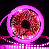 5M 600 LED 5054 LED Strip Light Waterproof DC12V Ribbon Tape Brighter Than 5050 Cold White/Warm White/Ice Blue/Red/Green/blue