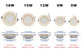 AC 220V LED Downlight Golden Silvery Ceiling Lamp Round Recessed 5W 9W 12W 15W 18W Led Light Bulb White/Warm white LED Down Lamp