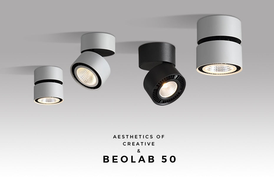 Led Downlight 360 Degrees Rotatable Surface Mounted Downlight 15W LED Ceiling Spot Light Indoor Living room Foyer Spot Lamp