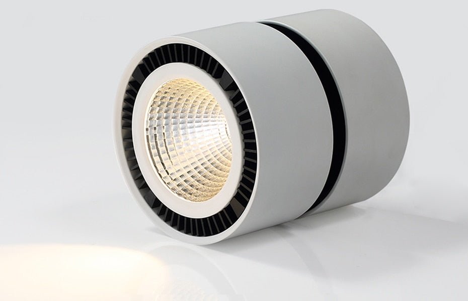 Led Downlight 360 Degrees Rotatable Surface Mounted Downlight 15W LED Ceiling Spot Light Indoor Living room Foyer Spot Lamp