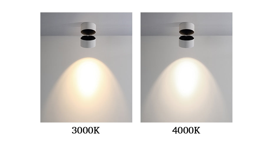 Led Downlight 360 Degrees Rotatable Surface Mounted Downlight 15W LED Ceiling Spot Light Indoor Living room Foyer Spot Lamp