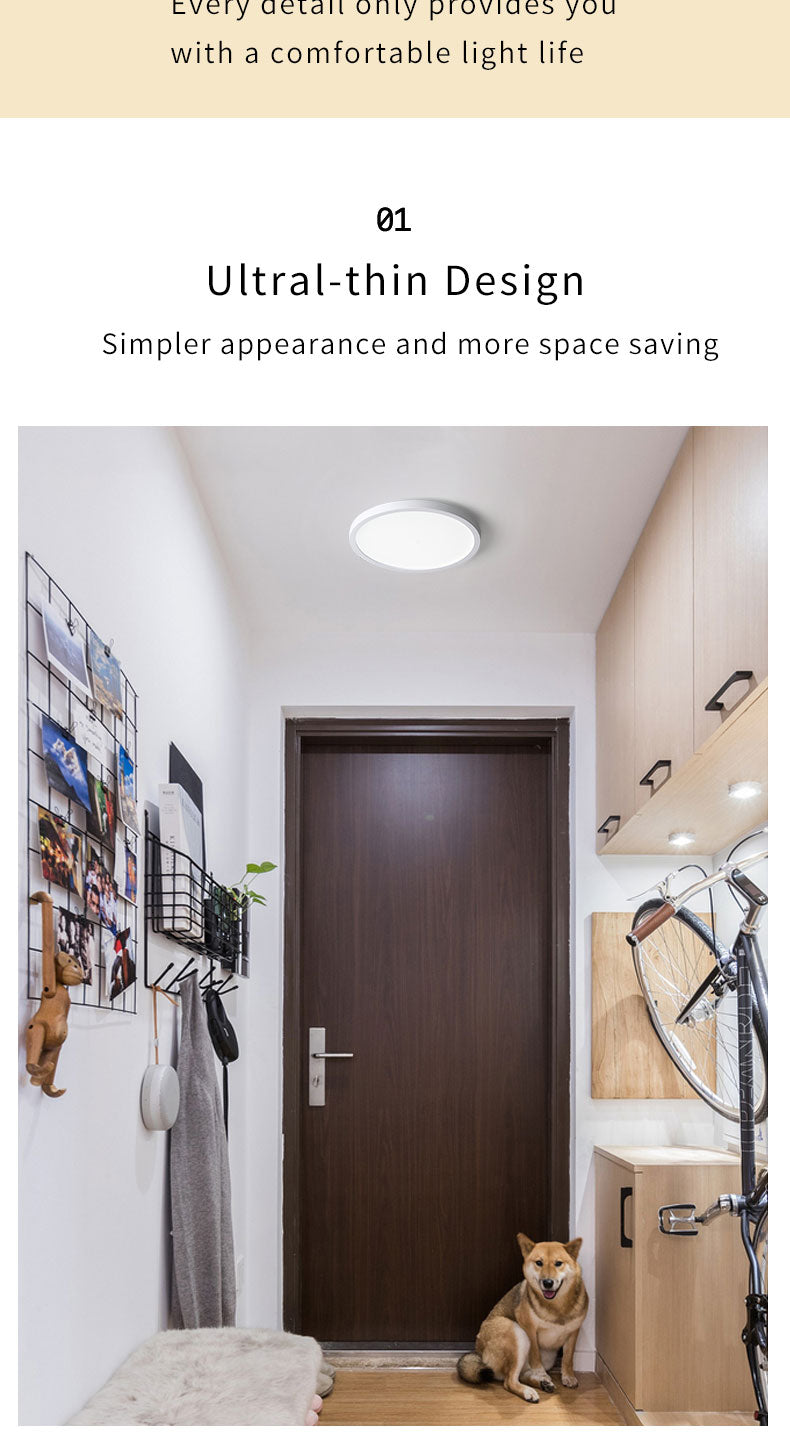 Led Panel Light 6W 9W 13W 18W 24W Surface Ceiling Downlight AC85-265V Round Ceiling Lamp For Indoor Home Lighting