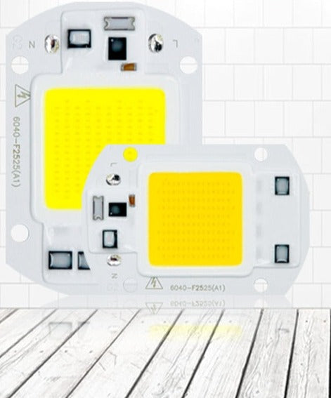 LED COB Lamp 10W 20W 30W 50W Real AC 220V 230V IP65 Smart IC DIY LED Bulb Flood Light Spotlight For Projectors Driver Light