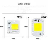 LED COB Lamp 10W 20W 30W 50W Real AC 220V 230V IP65 Smart IC DIY LED Bulb Flood Light Spotlight For Projectors Driver Light