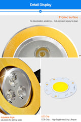 DBF Super Bright Angle Adjustable 3W 5W 7W 9W 12W 15W LED Ceiling Recessed Downlight Dimmable LED Ceiling Spot Light AC85-265V