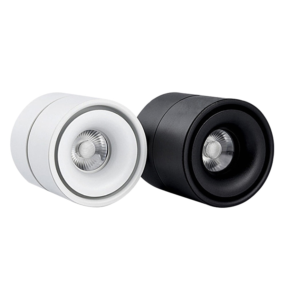 DBF 360 Degree Rotatable Surface Mounted Ceiling Downlight 7W 10W 12W 15W LED Ceiling Spot Light for Kitchen Living room Decor