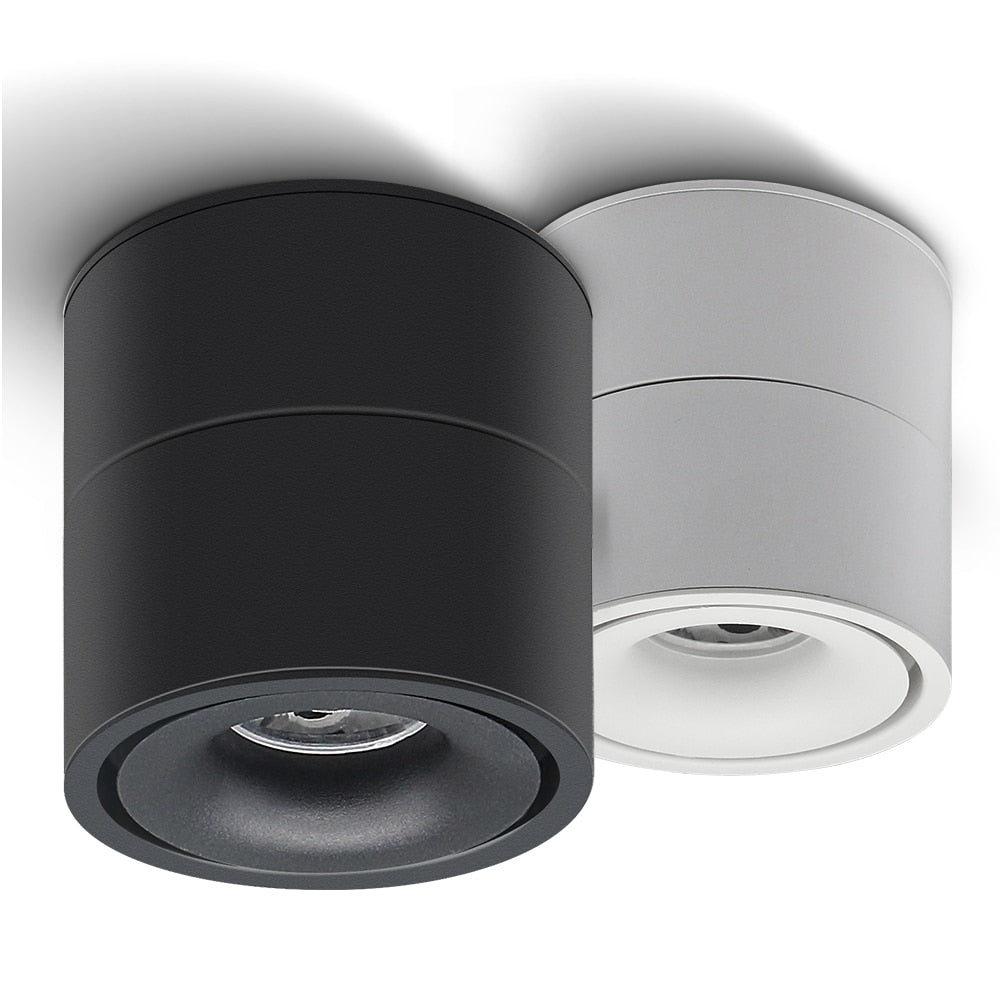 DBF 360 Degree Rotatable Surface Mounted Ceiling Downlight 7W 10W 12W 15W LED Ceiling Spot Light for Kitchen Living room Decor