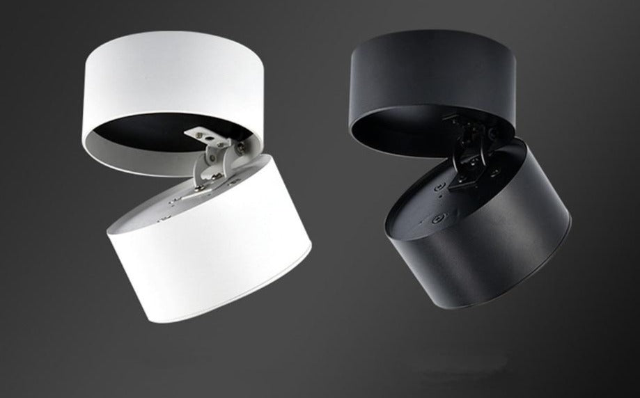 DBF 360 Degree Rotatable Surface Mounted Ceiling Downlight 7W 10W 12W 15W LED Ceiling Spot Light for Kitchen Living room Decor