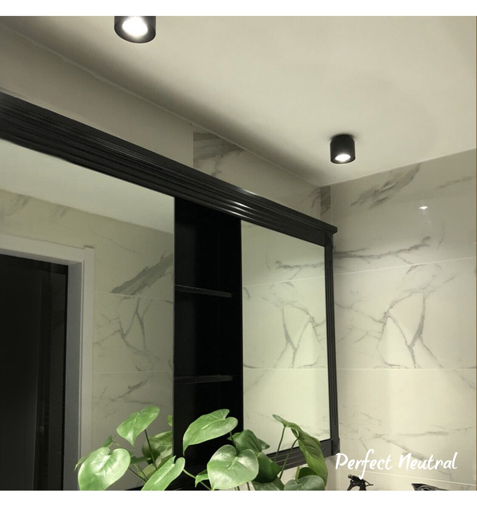 Aisilan LED Downlight Ceiling Spot light Living Lamp Nordic Lighting For Kitchen Foyer Bathroom Spot light Surface mounted