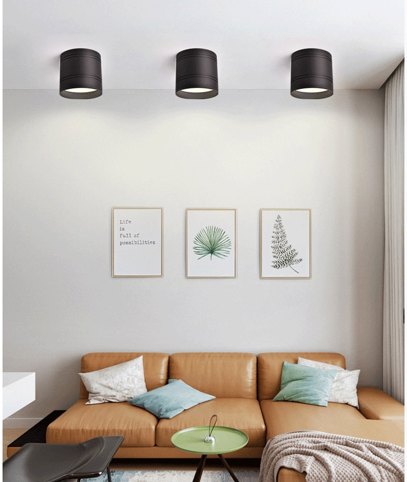 Dimmable LED Downlights 6W 9W 12W 15W 20W COB LED Ceiling Spot Lights AC110-220V No opening Ceiling lamps Cylinder LED Wall Lamp