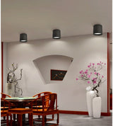 Dimmable LED Downlights 6W 9W 12W 15W 20W COB LED Ceiling Spot Lights AC110-220V No opening Ceiling lamps Cylinder LED Wall Lamp