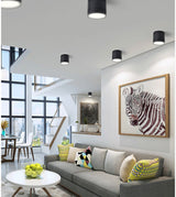 Dimmable LED Downlights 6W 9W 12W 15W 20W COB LED Ceiling Spot Lights AC110-220V No opening Ceiling lamps Cylinder LED Wall Lamp