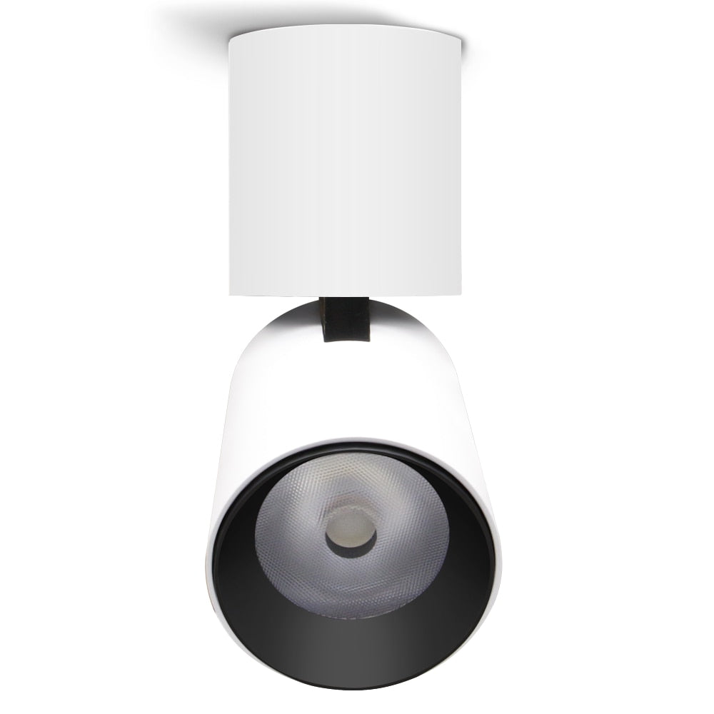 Led Surface Mounted Ceiling Downlight Adjustable 360 degrees Spot light for indoor Foyer, Living Room Kitchen AC90-260V