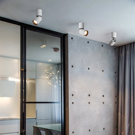 Led Surface Mounted Ceiling Downlight Adjustable 360 degrees Spot light for indoor Foyer, Living Room Kitchen AC90-260V