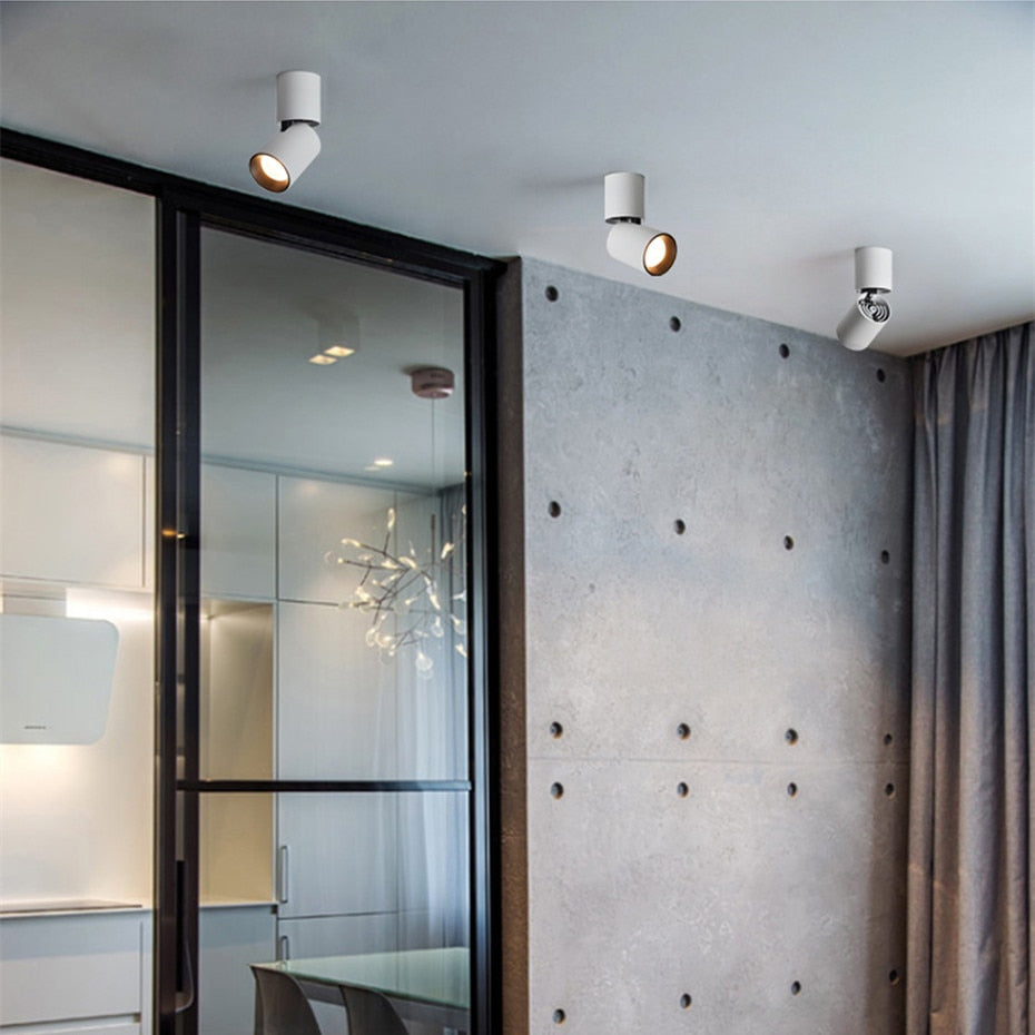  Led Surface Mounted Ceiling Downlight Adjustable 360 degrees Spot light for indoor Foyer, Living Room Kitchen AC90-260V