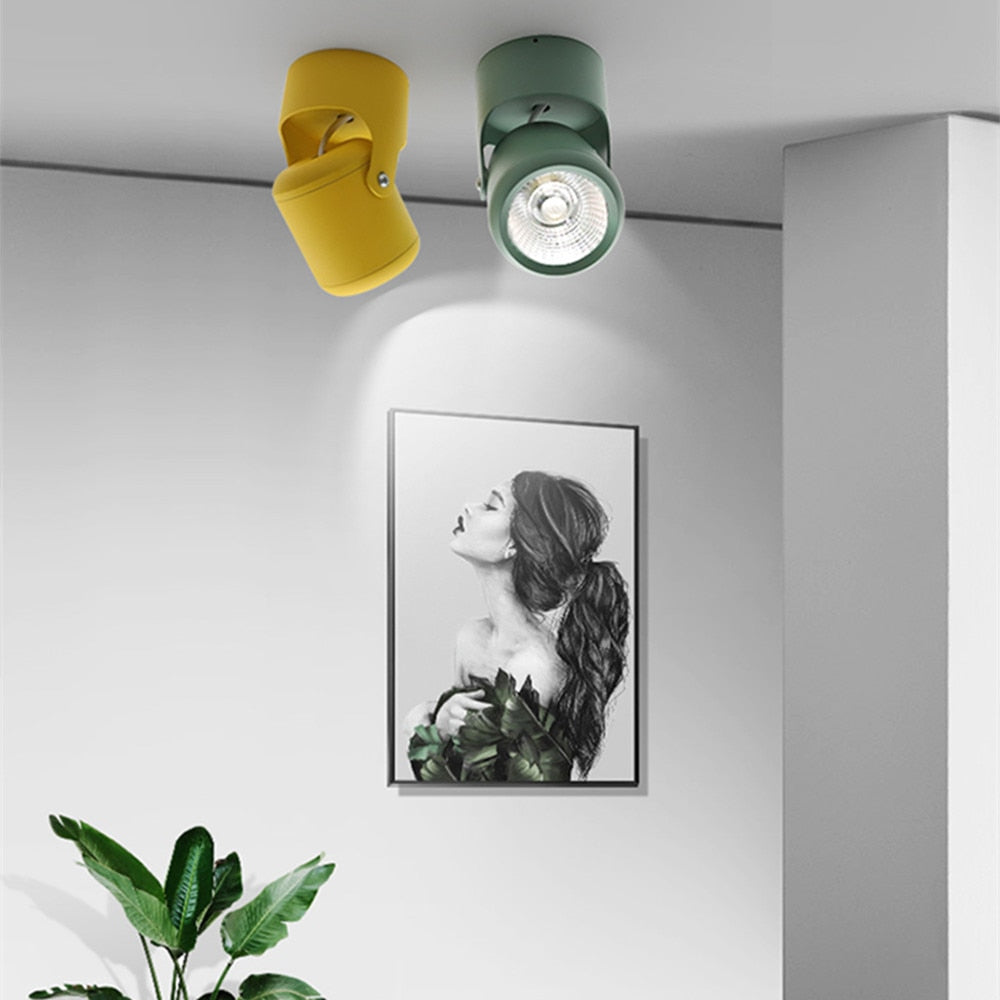 DBF Macaron Surface Mounted Ceiling Downlight 7W 10W 15W 20W LED Ceiling Spot Light AC110/220V for Kitchen Living room Decor