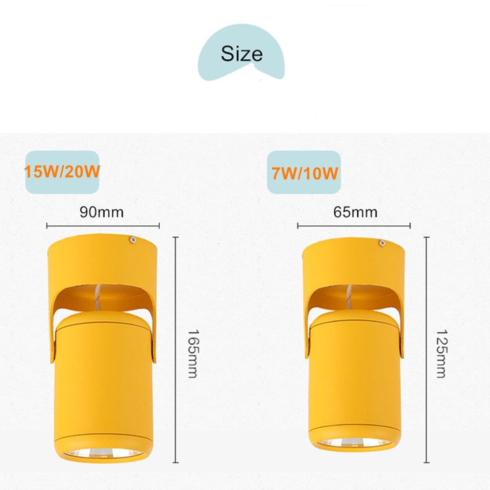 DBF Macaron Surface Mounted Ceiling Downlight 7W 10W 15W 20W LED Ceiling Spot Light AC110/220V for Kitchen Living room Decor