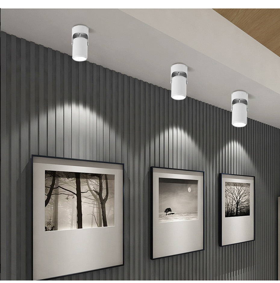 DBF Macaron Surface Mounted Ceiling Downlight 7W 10W 15W 20W LED Ceiling Spot Light AC110/220V for Kitchen Living room Decor