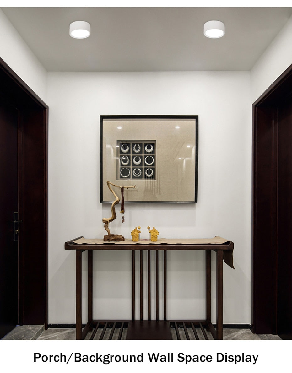 DBF Ultra-thin LED Surface Mount Ceiling Lamp 3W 5W 7W 9W Black/White/Gold Housing Ceiling Spot Lamp for Home Living room Decor