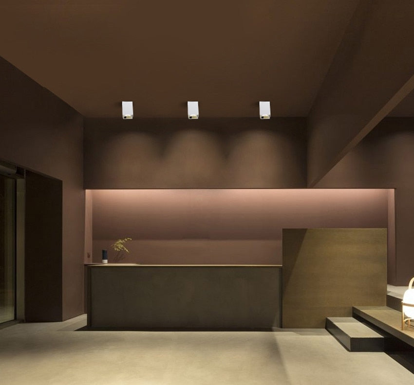 LED Downlight 3W 5W 7W 12W Surface Mounted Ceiling Lamps AC85-260V White/Black Spot Light for Living Room Bedroom Hallway BL900