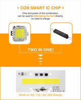 Smart IC Light LED Bright COB Bulb Lamp 30W 50W 70W 100W 150W AC220V 110V Input High Power IP65 Smart IC DIY For LED Flood Light