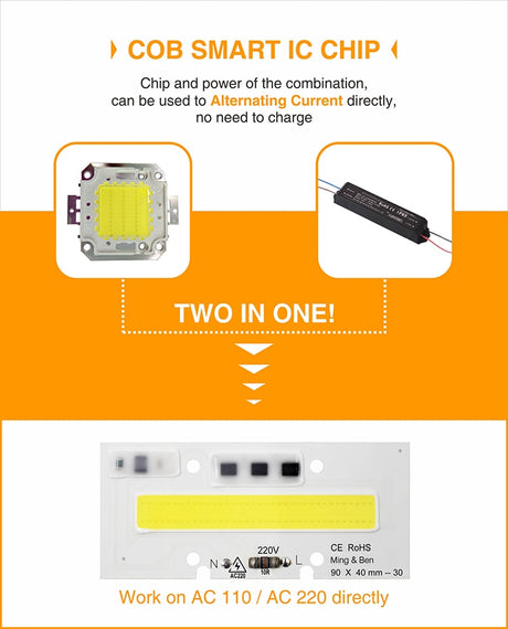 Smart IC Light LED Bright COB Bulb Lamp 30W 50W 70W 100W 150W AC220V 110V Input High Power IP65 Smart IC DIY For LED Flood Light