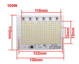 COB LED Chip 100W 50W 30W 20W 10W Smart IC No Need Driver LED SMD Beads FOR Floodlight Spotlight outdoor lamp