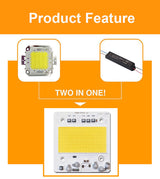 COB LED Chip 100W 50W 30W 20W 10W Smart IC No Need Driver LED SMD Beads FOR Floodlight Spotlight outdoor lamp