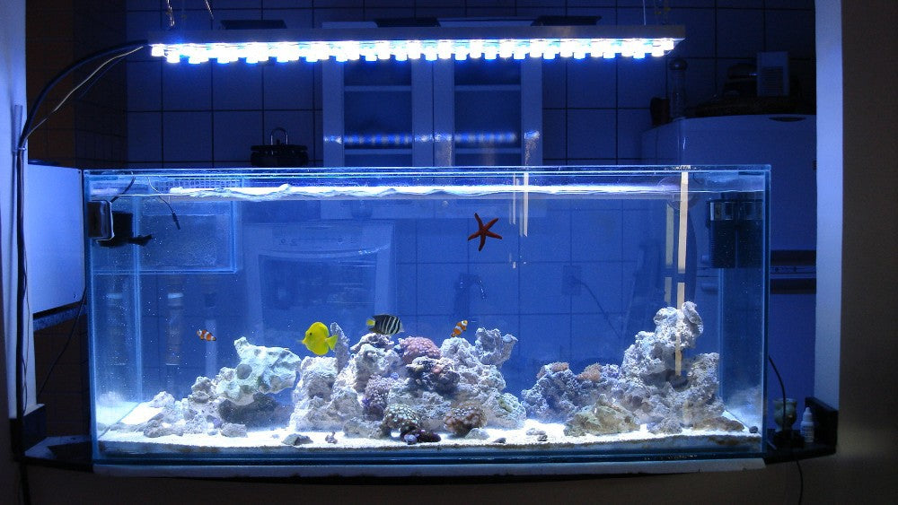 1PCS 1W 3W High Power LED Chip light PCB emitter Cool White Warm White Red Green Blue with 20MM Star PCB