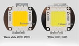LED Chip 10W 20W 30W 50W 70W 100W 30-32V Cool White Warm White LED Beads DIY For LED Flood Light Spotlight 45*45mil High Power