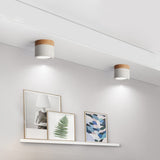 LED Downlight Dimmable 5W 12W Led Surface Mounted Ceiling Downlight Nordic Iron+wood Spot light for indoor Foyer ,Living Room