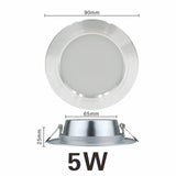 LED Downlight Ceiling silvery 5W 9W 12W 15W 18W Warm white/Cold white Led Light AC 220V 230V 240V