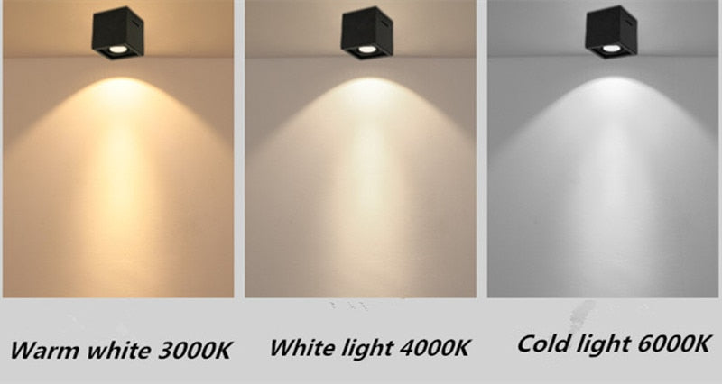 Dimmable LED Ceiling Spotlight Epistar Chip AC85-265V 10W 20W Aluminum Surface Mounted Downlight COB Background Lamps+Led Drive