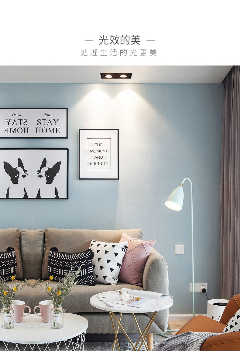 DBF 360 Angle Adjust LED Recessed Downlight 10W 14W 20W 24W LED Ceiling Spot Light 3000K/4000K/6000K Black/White Housing Light