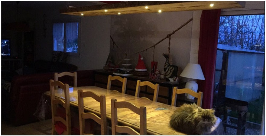 LEDIARY Silvery/Black/White/Golden Mini LED Downlights 1.5W 27mm 100V-240V Jewelry Display Ceiling Recessed Cabinet Spot Lamp