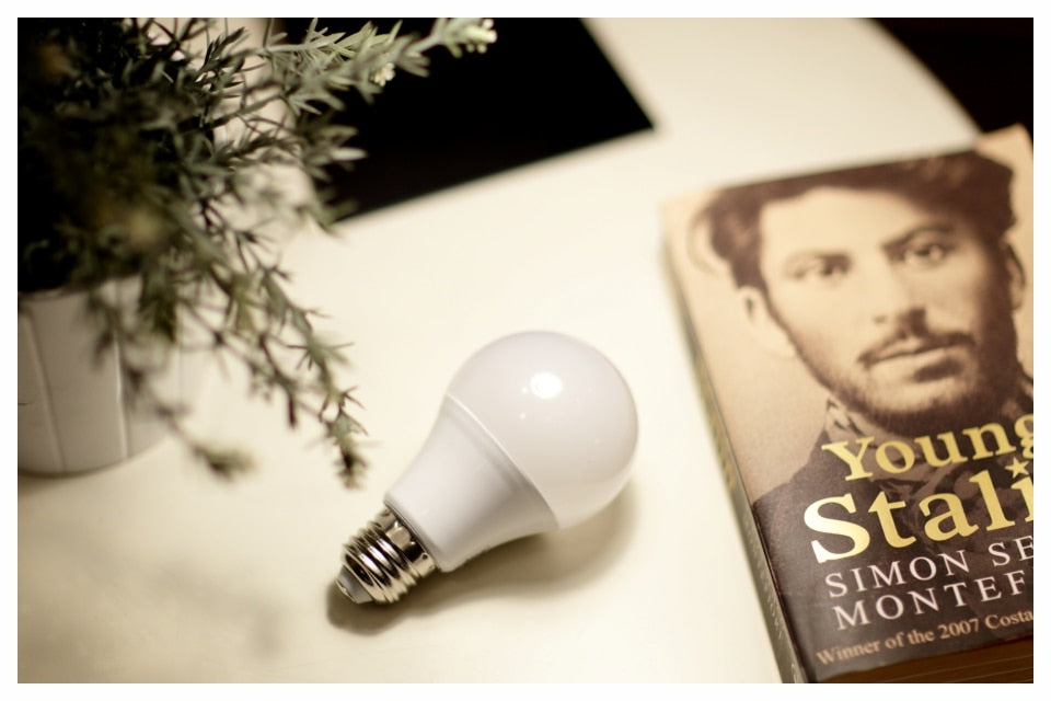 LED E27 E14 Bulb Light 3W 6W 9W 12W 15W 18W 20W Real Power Light Bulbs AC 220V 230V 240V Spotlight Lampada LED Bombillas Lamp