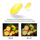 DBF Square COB LED Dimmable Downlights 10W 12W 20W 24W Surface Mounted LED Ceiling Lamps Spot Light LED Downlights AC85V-265V