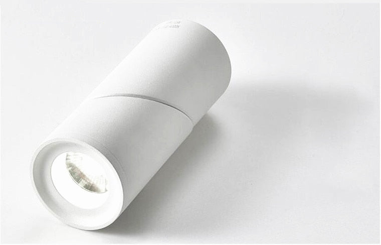 Dimmable Folding Rotating 360° LED Downlights 15W 18W 20W COB LED Ceiling Spot Lights AC110-220V LED Wall Lamp Indoor Lighting