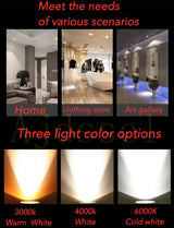 Downlight  LED Dimmable  Lamp 3w 5w 7W 12w 15w 20w  30w 40w Cob Led Spot 220V/110V Ceiling Recessed round panel light