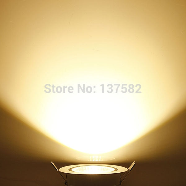 LED COB Downlight 12W LED Ceiling Down Light 85-265V Warm White/Cold White S