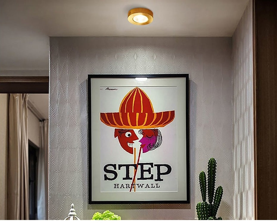 DBF Ultra-thin LED Surface Mounted Downlight 3W 5W 7W 9W Round Driverless Ceiling Spot Lamp for Cabinet Showcase Pictures Decor