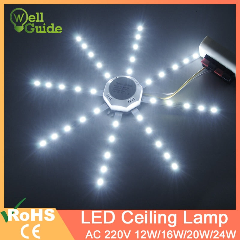 Led Downlight 12W 16W 20W 24W Accessory Octopus Magnetic plate Ring Light Led Lamp 220V For Ceiling Lamp Absorb dome Replace