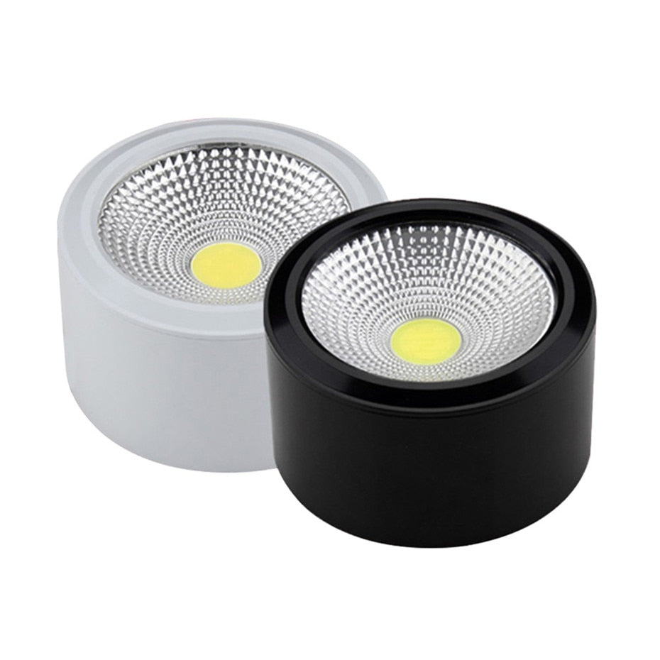 Surface Mounted LED Ceiling Light Living Room Lighting Fixture Bedroom Kitchen Light 5W 7W 10W 12W LED Spot Light for Home