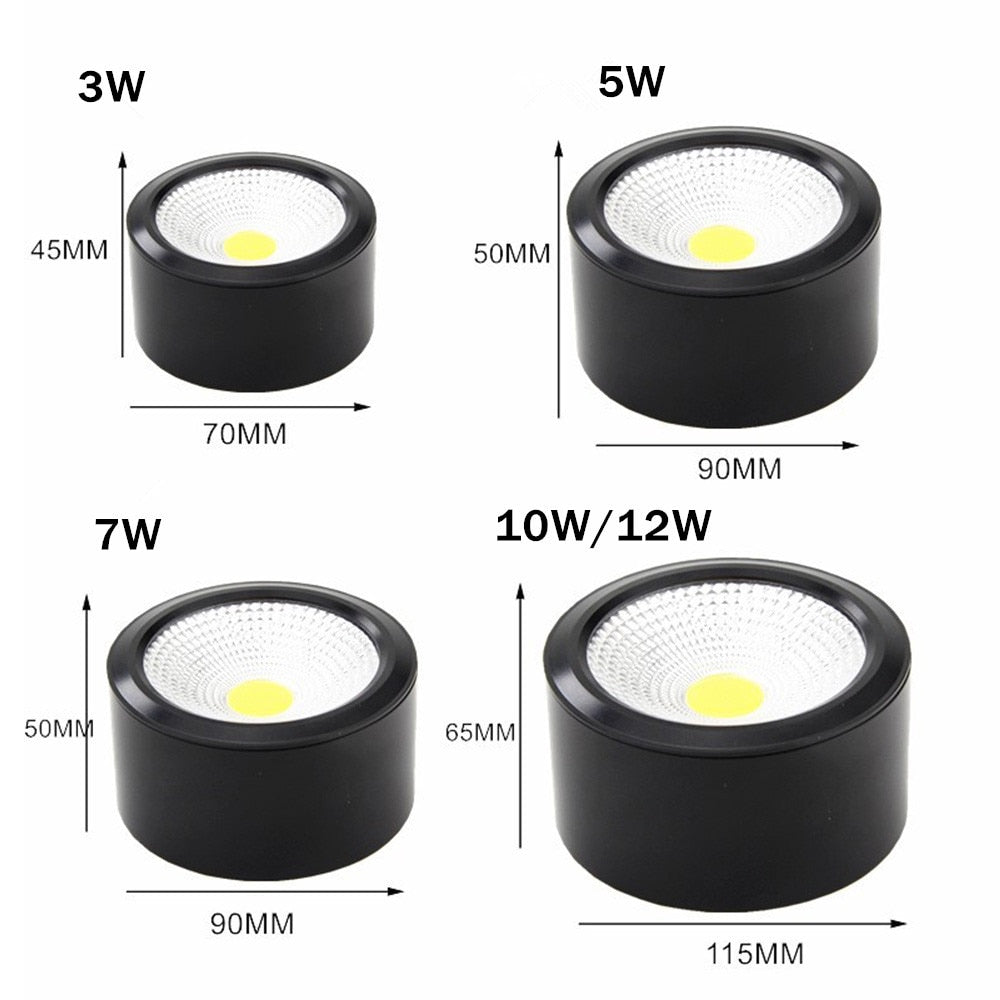 Surface Mounted LED Ceiling Light Living Room Lighting Fixture Bedroom Kitchen Light 5W 7W 10W 12W LED Spot Light for Home