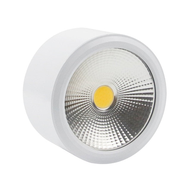 Surface Mounted LED Ceiling Light Living Room Lighting Fixture Bedroom Kitchen Light 5W 7W 10W 12W LED Spot Light for Home