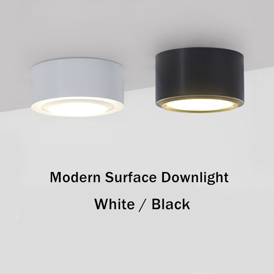 Surface Mounted LED Ceiling Light Living Room Lighting Fixture Bedroom Kitchen Light 5W 7W 10W 12W LED Spot Light for Home